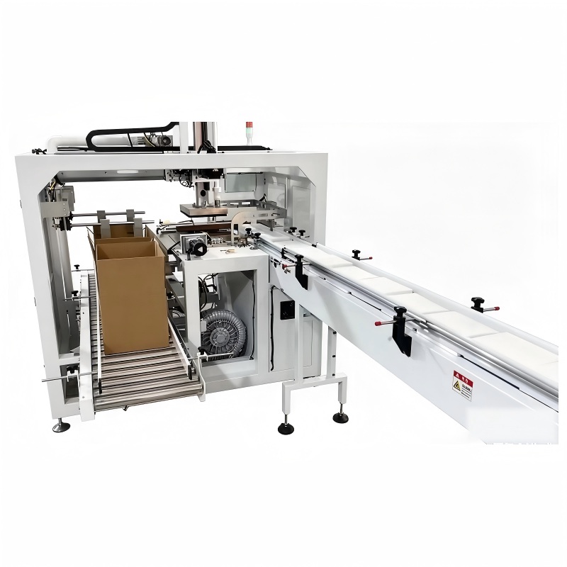DB-C-12P Vertical Tissue Case Packing Machine