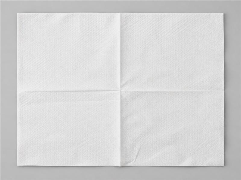 06-unfolded-tissue-detail-800x600.jpg