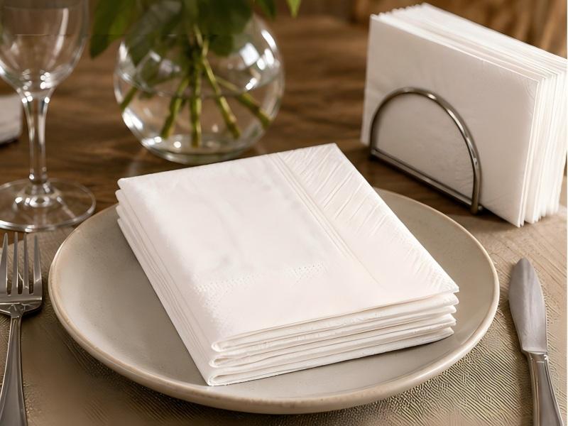 Folded Paper Napkin