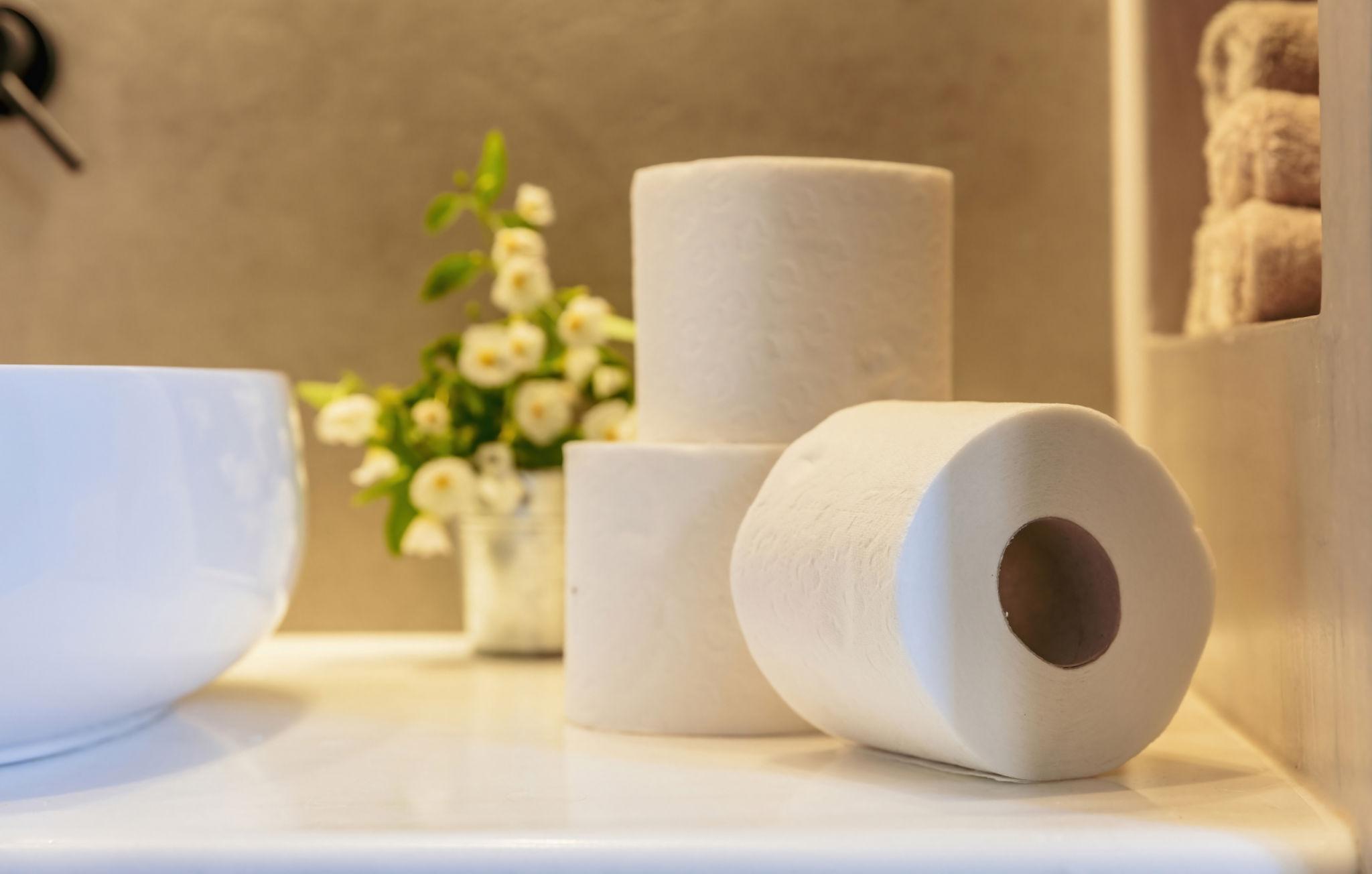 household toilet paper rolls