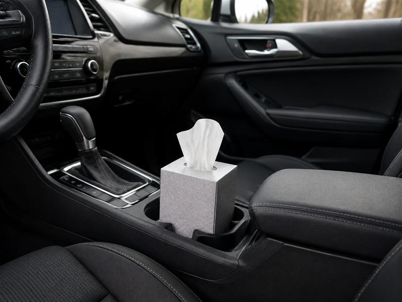 auto-tissue-car-console.jpg