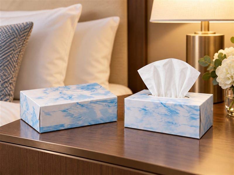 07-facial-tissue-box-hotel-application.jpg