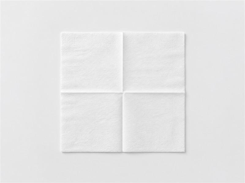 06-unfolded-tissue-detail-800x600.jpg