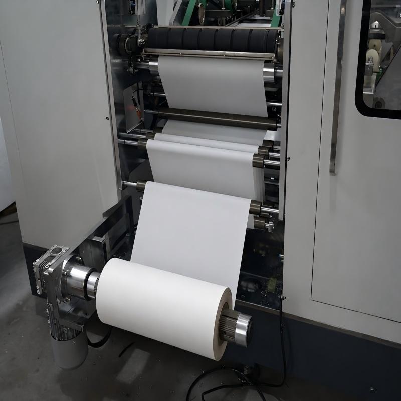 Automatic Toilet Tissue Paper Wrapping Machine-paper-unwinding-system-DB-TR-120P.jpg