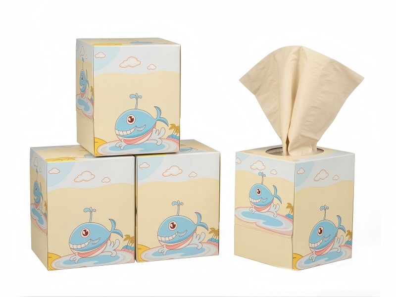 DB-BF-80B - Automatic Facial Tissue Cube Box Packing Machine detail 5
